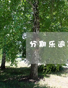 分期乐逾期3天会上征信嘛 分期乐逾期3天会上征信嘛