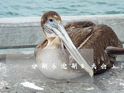分期乐逾期3天会上门吗 分期乐逾期3天会上门吗