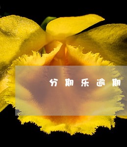 分期乐逾期3天打父母