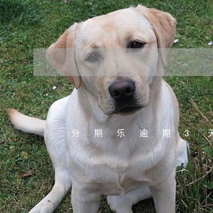 分期乐逾期3天收到威胁短信 分期乐逾期3天收到威胁短信