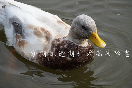 分期乐逾期3天高风险客户 分期乐逾期3天高风险客户
