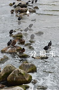 分期乐逾期4000会上门吗