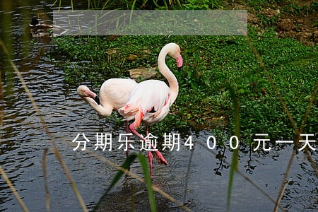 分期乐逾期400元一天多少钱 分期乐逾期400元一天多少钱
