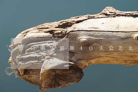 分期乐逾期40天会怎么样 分期乐逾期40天会怎么样