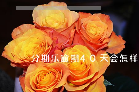 分期乐逾期40天会怎样 分期乐逾期40天会怎样