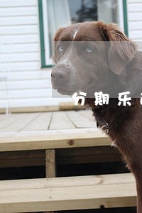 分期乐逾期40天会联系吗 分期乐逾期40天会联系吗