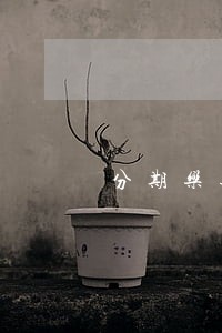 分期乐逾期42天会怎么样 分期乐逾期42天会怎么样