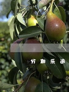 分期乐逾期4天会传票吗 分期乐逾期4天会传票吗