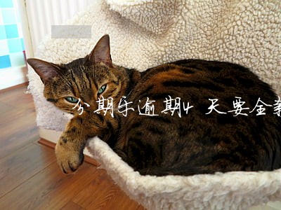 分期乐逾期4天要全款 分期乐逾期4天要全款