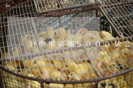 分期乐逾期5000块会怎么样 分期乐逾期5000块会怎么样