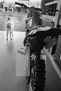 分期乐逾期500第五天 分期乐逾期500第五天