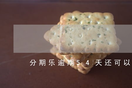 分期乐逾期54天还可以借钱吗 分期乐逾期54天还可以借钱吗