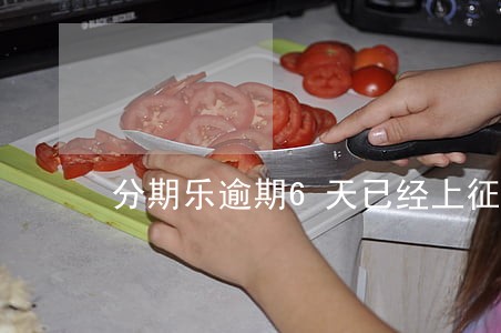 分期乐逾期6天已经上征信了 分期乐逾期6天已经上征信了