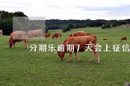 分期乐逾期7天会上征信吗 分期乐逾期7天会上征信吗