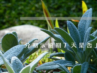 分期乐逾期7天是否上征信 分期乐逾期7天是否上征信