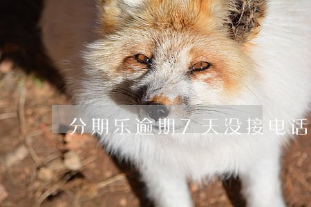 分期乐逾期7天没接电话 分期乐逾期7天没接电话