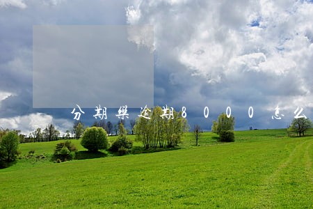 分期乐逾期8000怎么办 分期乐逾期8000怎么办