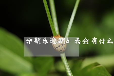 分期乐逾期8天会有什么后果 分期乐逾期8天会有什么后果