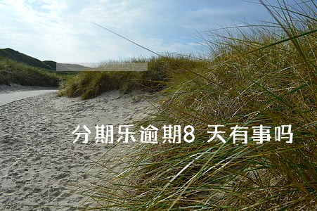 分期乐逾期8天有事吗 分期乐逾期8天有事吗