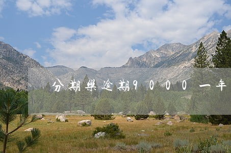 分期乐逾期9000一年
