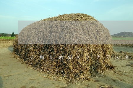 分期乐逾期90天可以免除利息吗 分期乐逾期90天可以免除利息吗