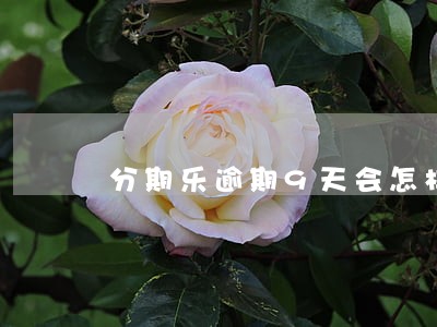分期乐逾期9天会怎样的后果 分期乐逾期9天会怎样的后果