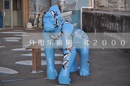 分期乐逾期一年2000利息高吗