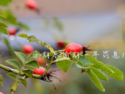 分期乐逾期一年罚息1000 分期乐逾期一年罚息1000
