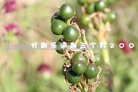 分期乐逾期三个月2000 分期乐逾期三个月2000