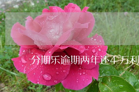 分期乐逾期两年还4万利息多少 分期乐逾期两年还4万利息多少