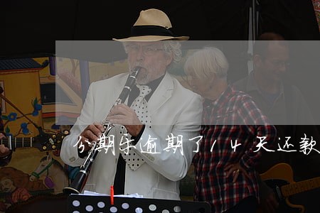 分期乐逾期了14天还款怎么办
