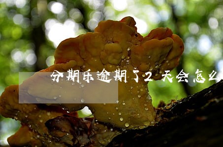 分期乐逾期了2天会怎么样 分期乐逾期了2天会怎么样