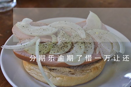 分期乐逾期了借一万让还一万6