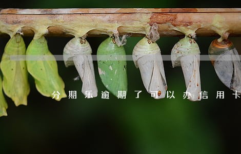 分期乐逾期了可以办信用卡吗 分期乐逾期了可以办信用卡吗