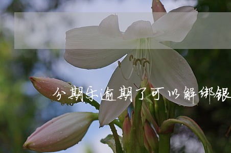 分期乐逾期了可以解绑银行卡吗