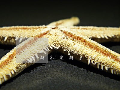 分期乐逾期了怎么解除绑定银行卡 分期乐逾期了怎么解除绑定银行卡