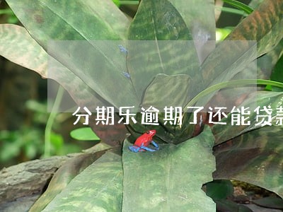分期乐逾期了还能贷款买车吗 分期乐逾期了还能贷款买车吗