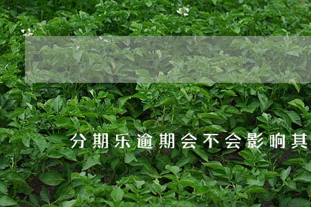 分期乐逾期会不会影响其他网贷 分期乐逾期会不会影响其他网贷