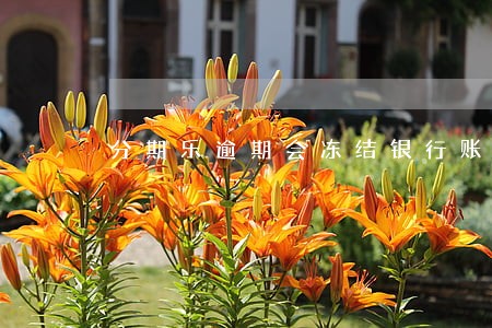 分期乐逾期会冻结银行账号么 分期乐逾期会冻结银行账号么