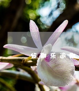 分期乐逾期会影响信用吗 分期乐逾期会影响信用吗