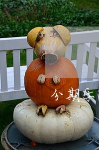 分期乐逾期会自动刷银行卡 分期乐逾期会自动刷银行卡