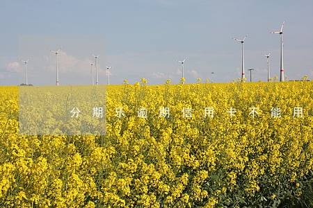 分期乐逾期信用卡不能用吗