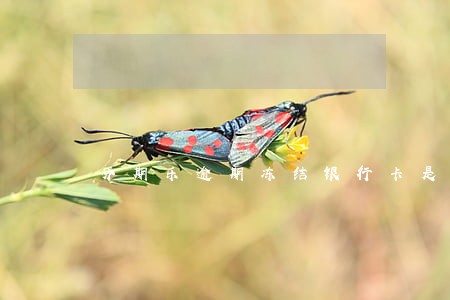 分期乐逾期冻结银行卡是真的吗