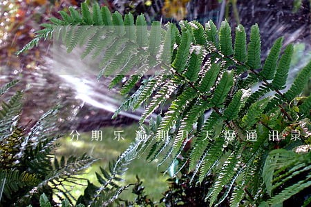 分期乐逾期几天爆通讯录6 分期乐逾期几天爆通讯录6
