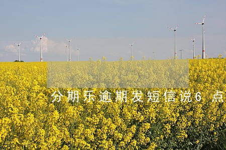 分期乐逾期发短信说6点查账 分期乐逾期发短信说6点查账