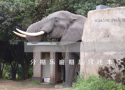 分期乐逾期后只还本金 分期乐逾期后只还本金
