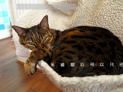 分期乐逾期后可以只还本金吗 分期乐逾期后可以只还本金吗