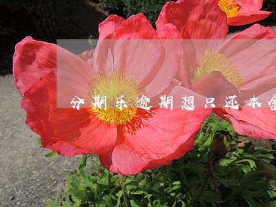 分期乐逾期想只还本金 分期乐逾期想只还本金