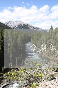 分期乐逾期收到12368 分期乐逾期收到12368