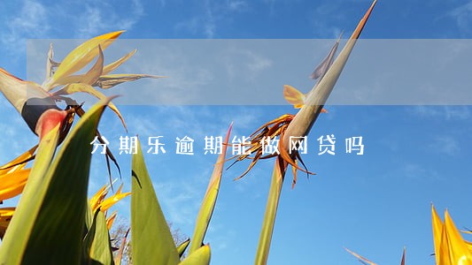 分期乐逾期能做网贷吗 分期乐逾期能做网贷吗
